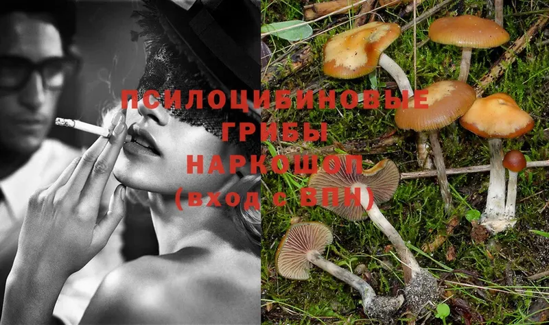 Галлюциногенные грибы Magic Shrooms  хочу   hydra маркетплейс  Кукмор 